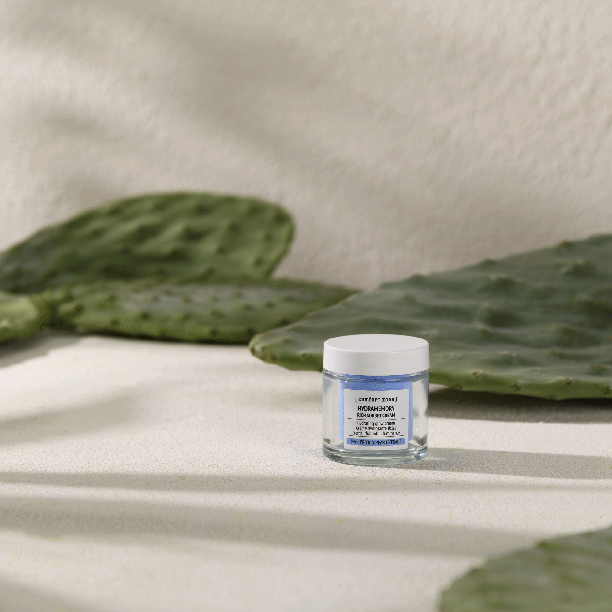 Comfort Zone: Kit Hydramemory Cream Refill Set  RICH SORBET CREAM AND REFILL SET -100x.gif?v=1761121976
