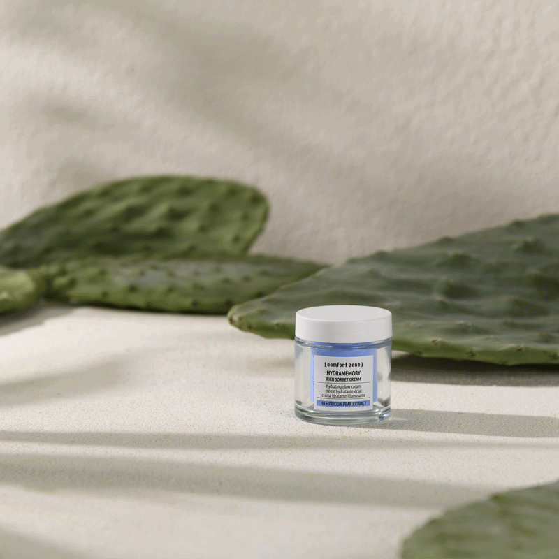 Comfort Zone: Kit Hydramemory Cream Refill Set  RICH SORBET CREAM AND REFILL SET -
